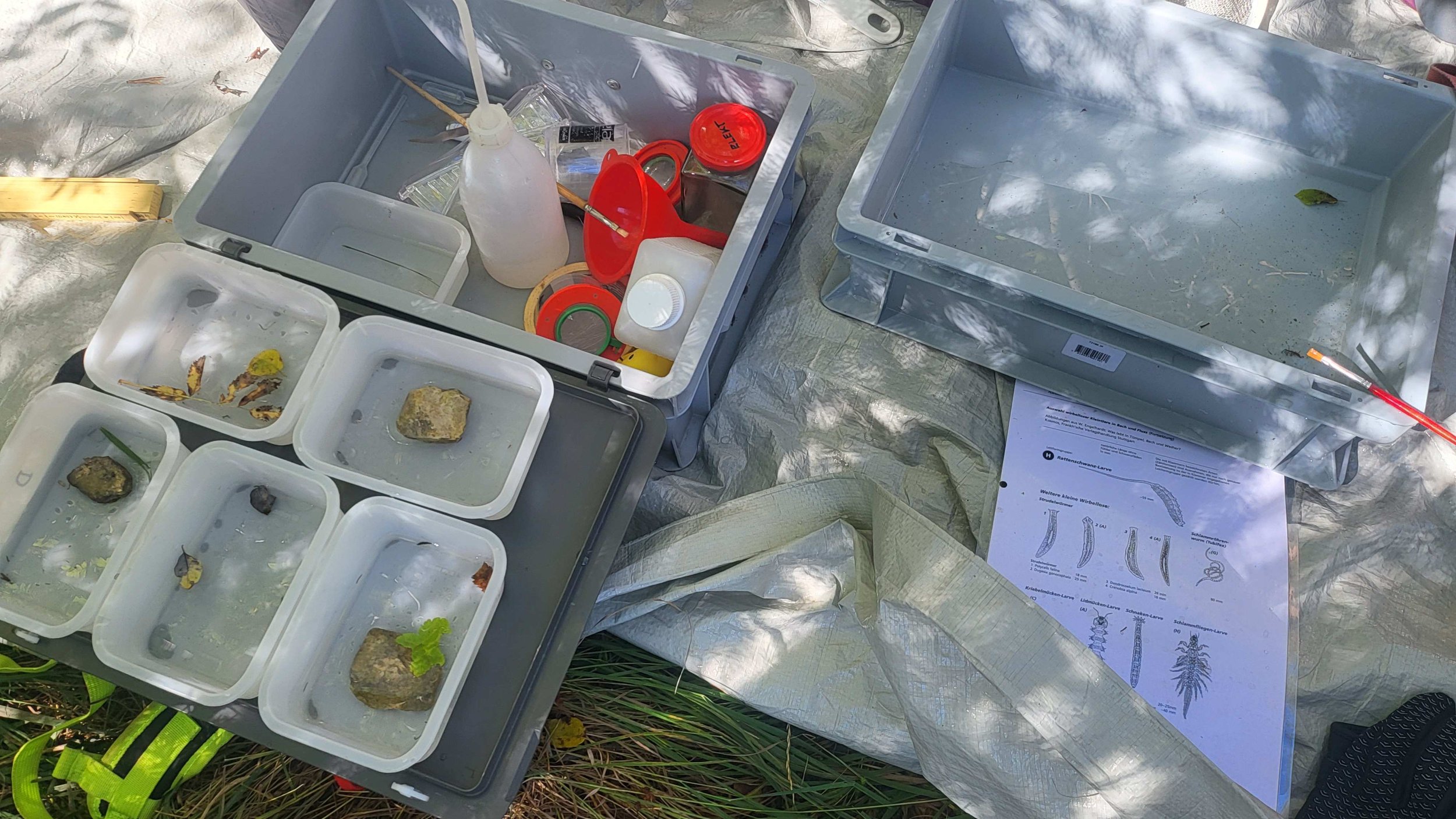 Projekt Biodiversität.jpg